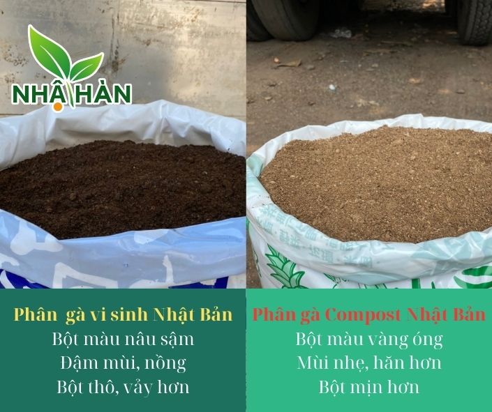 Phân biệt phân gà vi sinh Nhật Bản và phân gà Compost