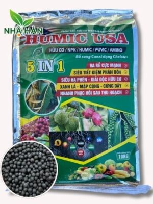 Phân bón Humic 5/1 giúp kích cơi đọt sầu riêng