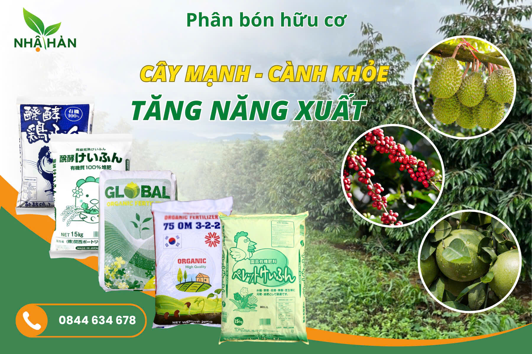 Dùng phân hữu cơ nhập khẩu là giải pháp tốt nhất.