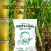 phân hữu cơ dành cho mía đường